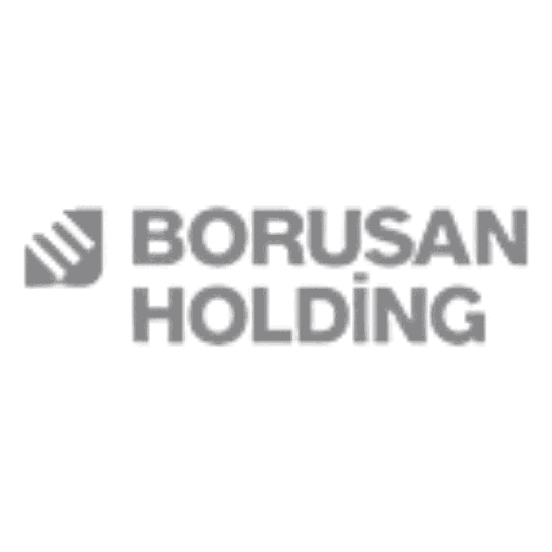 Borusan Holding